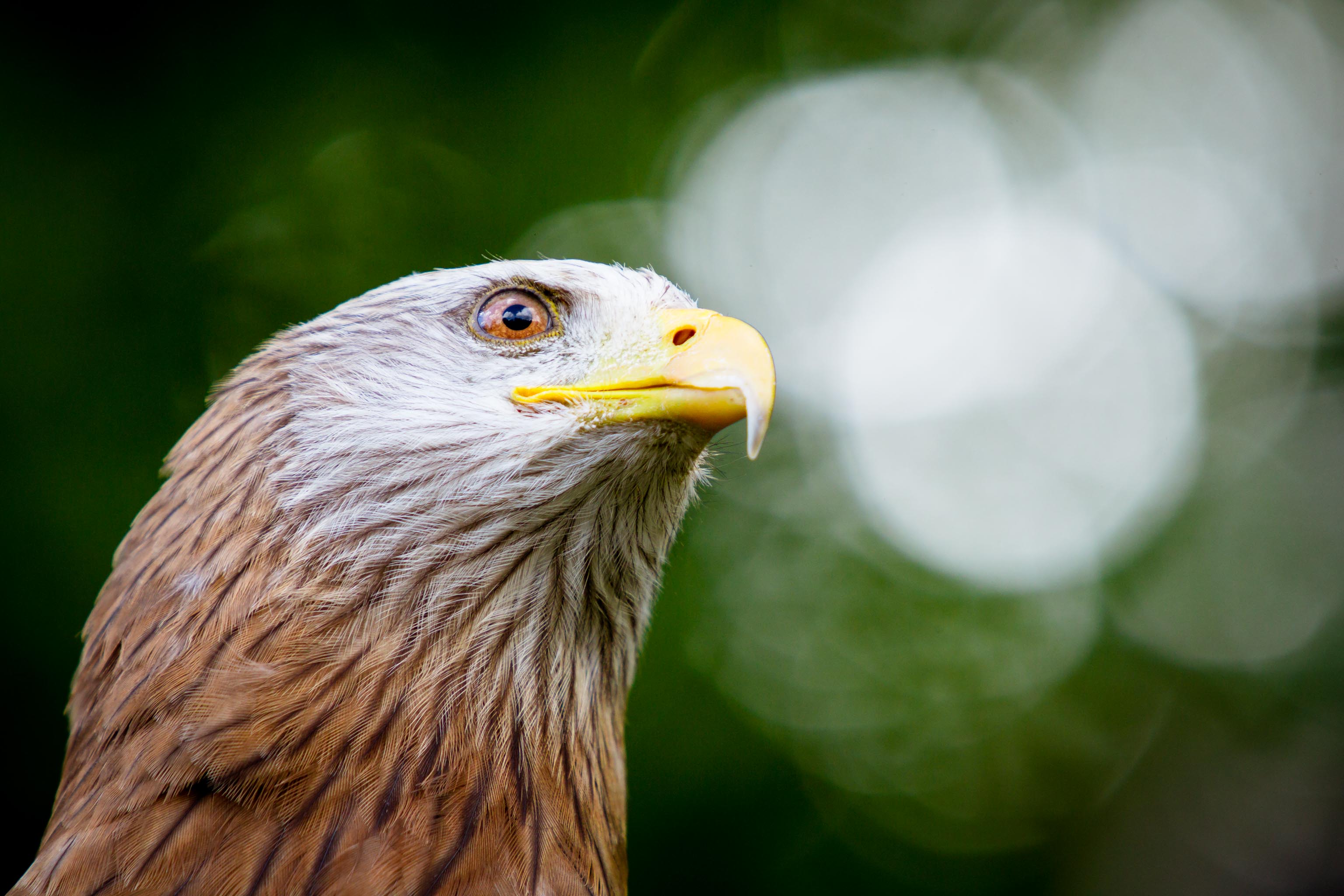 Tour de France Photo 2014 - Puy du Fou